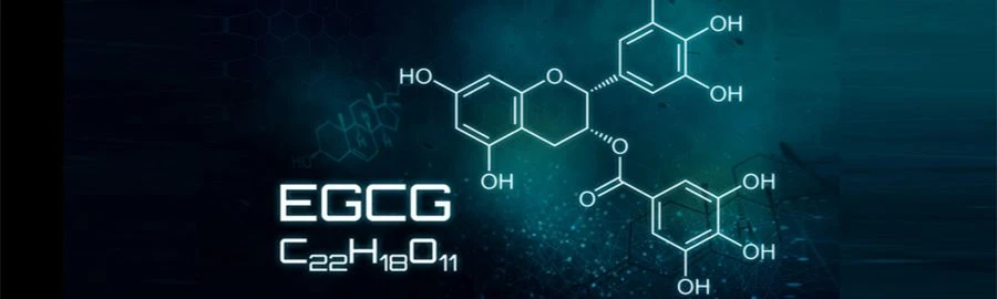 What is EGCG