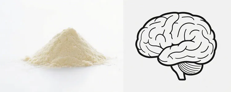 Phosphatidylserine-Powder-Bulk