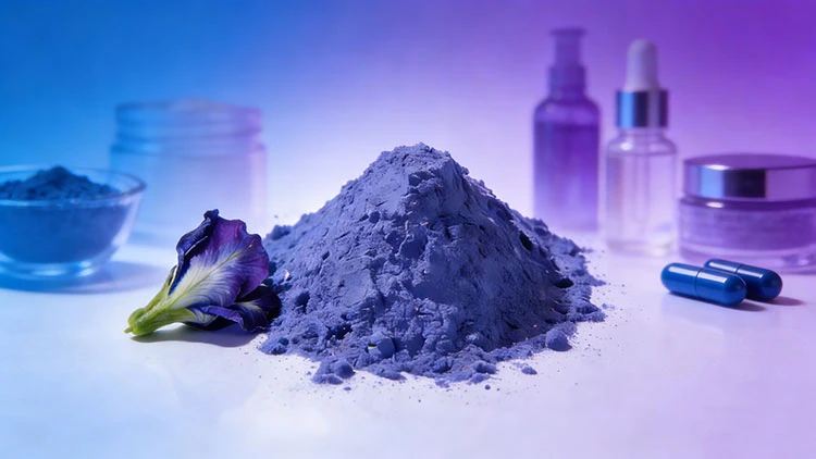 Introduction-to-Clitoria-Ternatea-Flower-Extract Introduction-to-Clitoria-Ternatea-Flower-Extract