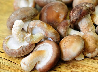 news-510-375 news-510-375