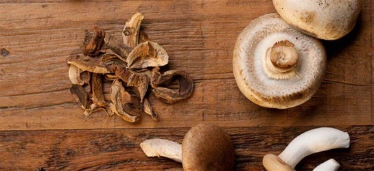 news-1034-474 news-1034-474